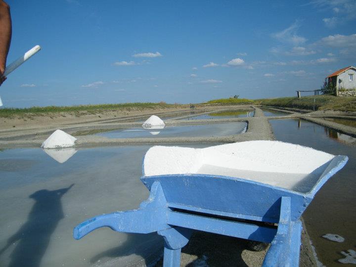 marais salant les angibauds